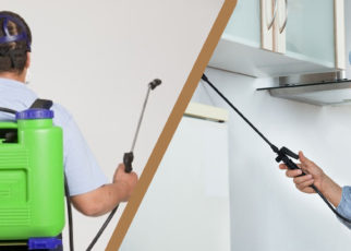 Things to Consider When Hiring a Pest Inspection Company