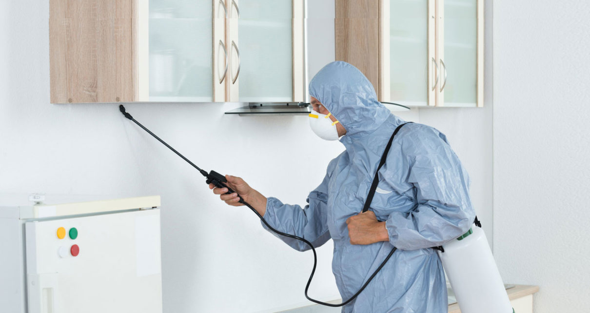 Tips For Keeping Your Home Pest Free