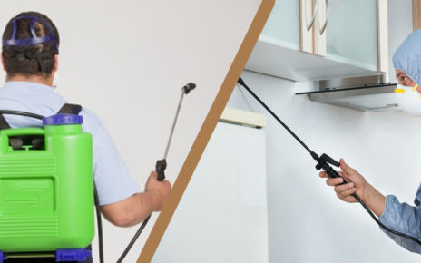 Things to Consider When Hiring a Pest Inspection Company